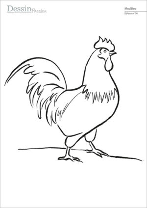 L’image montre le modèle pour l’article "Le Coq" du magazine Dessin Passion n° 70.