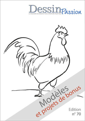 Modèles n° 70