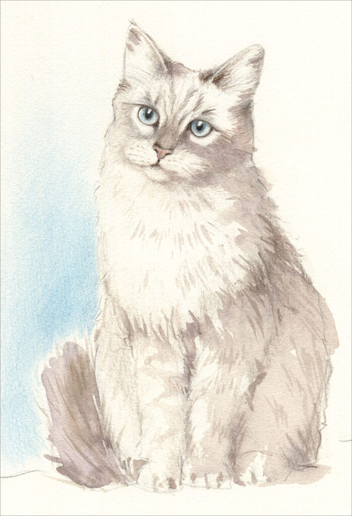 L'illustration montre un chat assis dessiné au crayon aquarellable et peint à l'aquarelle. Tiré du magazine Dessin et Peinture Passion numéro 73.