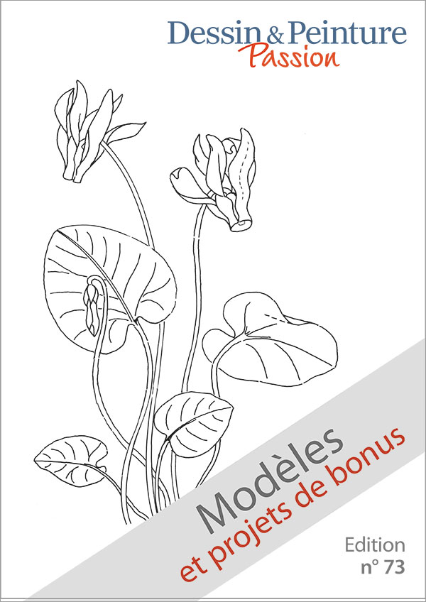 L’image montre le titre du PDF "Modèles et projects de bonus" du magazine Dessin et Peinture Passion n° 73.