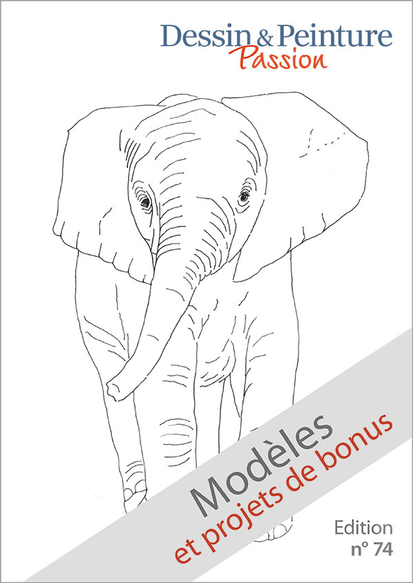 L’image montre le titre du PDF "Modèles et projects de bonus" du magazine Dessin et Peinture Passion n° 74.